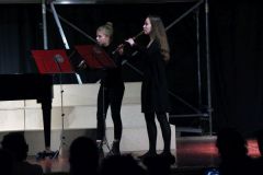 Kammermusikabend_2017_013.jpg