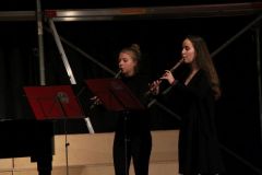 Kammermusikabend_2017_014.jpg
